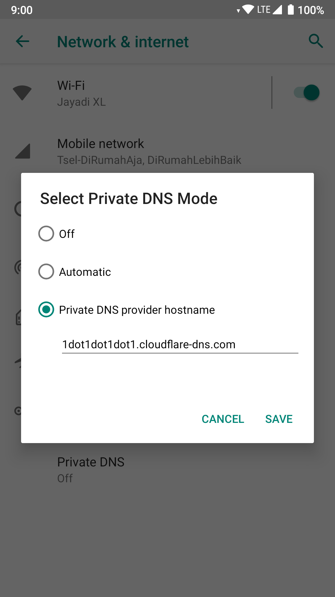 Android - Private DNS